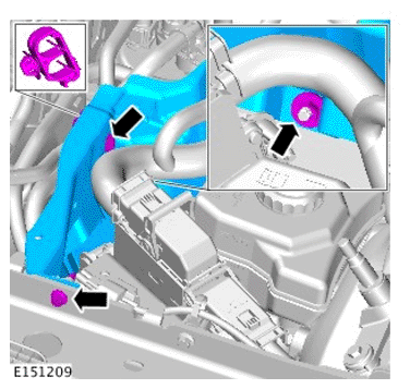 G11703053